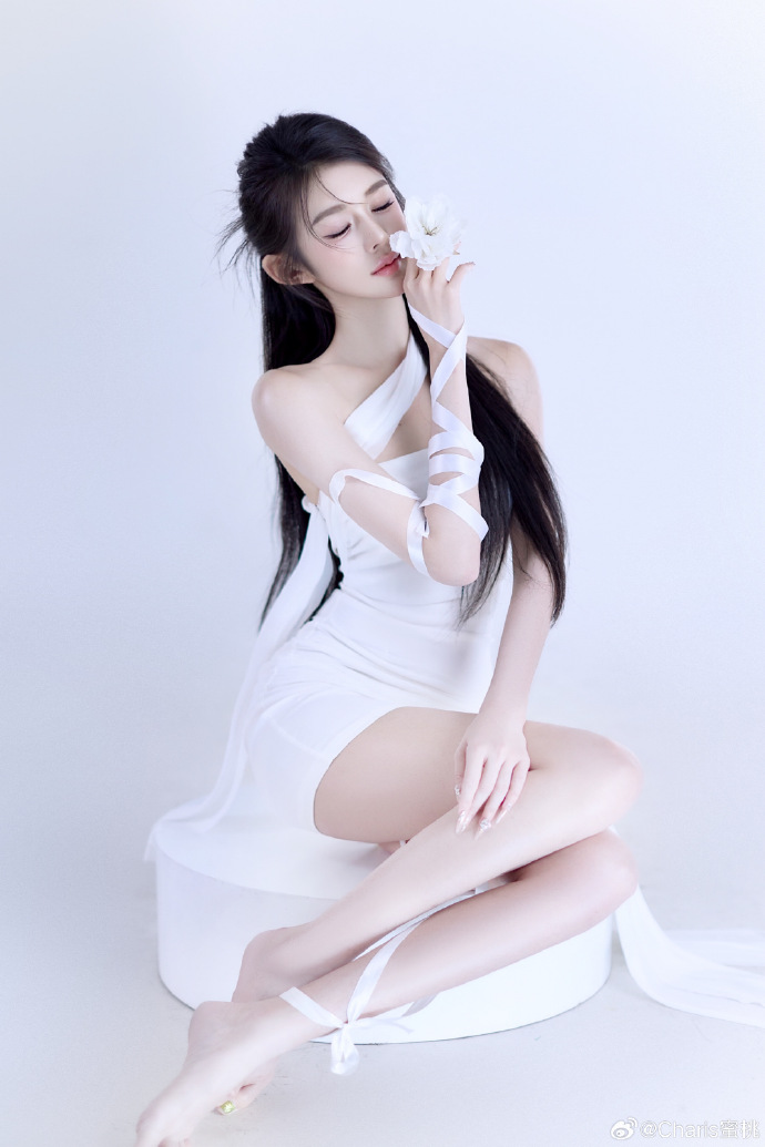 甄嬛传 封面