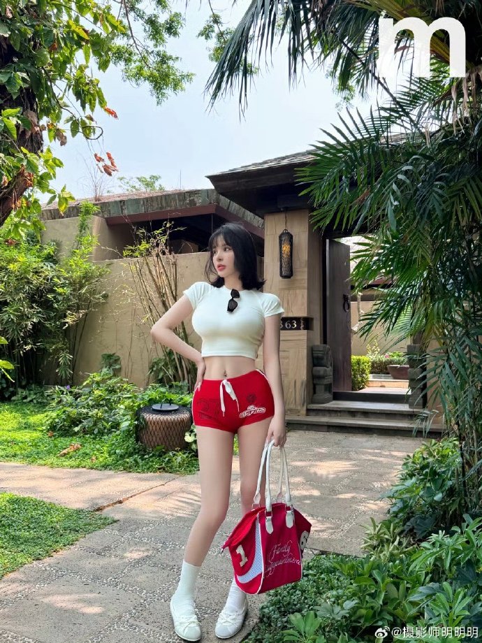 秘密森林 封面